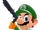 Nintendofan996