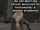 Albus Dumbledore