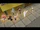 False Anime Replicas