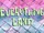 Everything Land