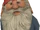 Magical Gnome