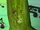 Picolas Cage