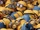 Minions