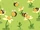 Bees