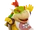 Bowser Jr.