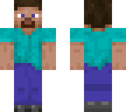 Steve's Official Minecraft design as of August 2022