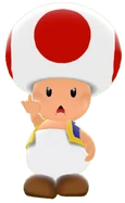 Toad's Model