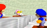 Mario proving to MarioStar92 that gloves are dangerous after knocking out Pink Mariogamer56