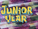 Junior Year
