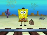 SpongeBuck Kanciastoporty