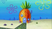 Ananas.jpg