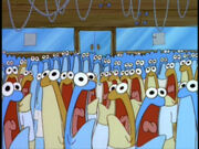 Anchovies.jpg
