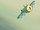 Samolot Planktona