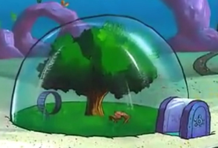 Sandy's Treedome | Spongebob Rebuild Bikini Bottom Wiki | Fandom