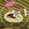 Sandy Cheeks