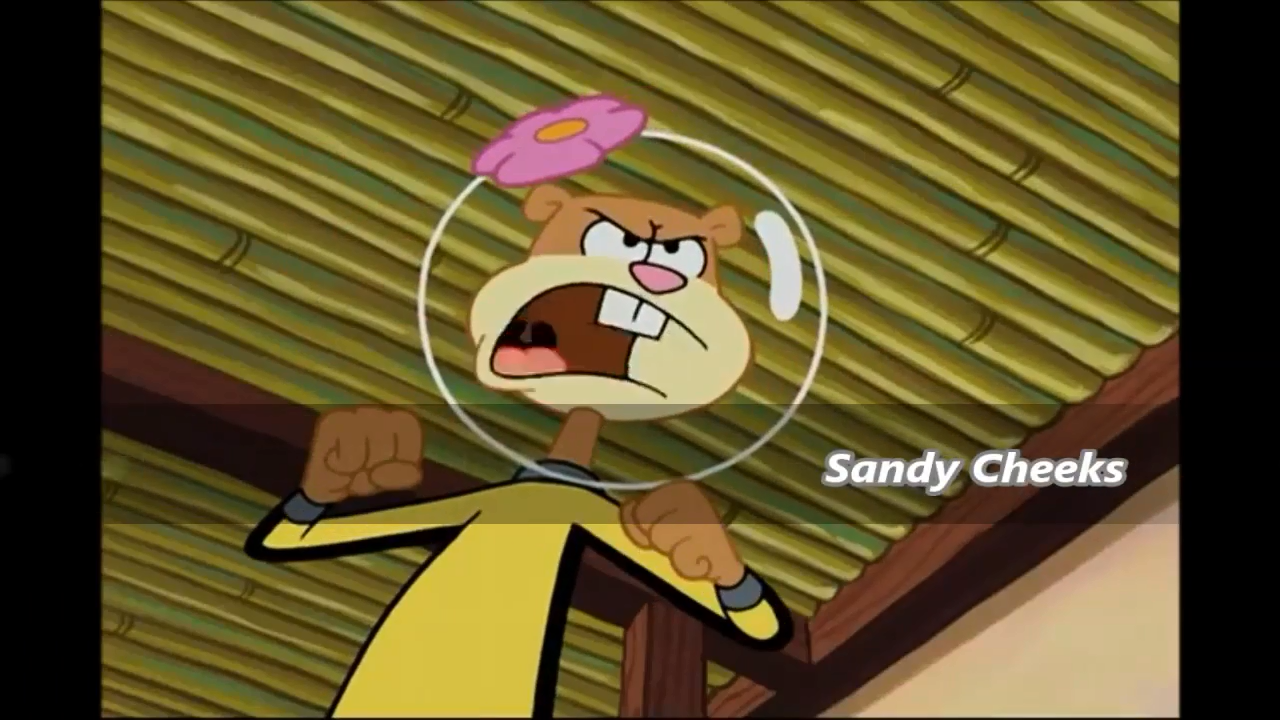 Sandy die cut from Spongebob.