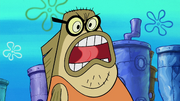 Moving Bubble Bass 027