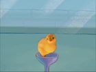 Birds | Encyclopedia SpongeBobia | Fandom