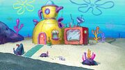 The Star family's house