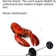 With a real lobster and barbell