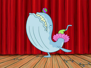 The inc whale performing her act.