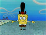 Vaquero 2