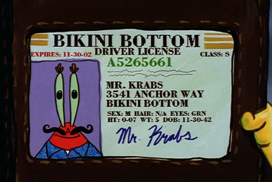 SpongeBob SquarePants License Trunks - Kmart