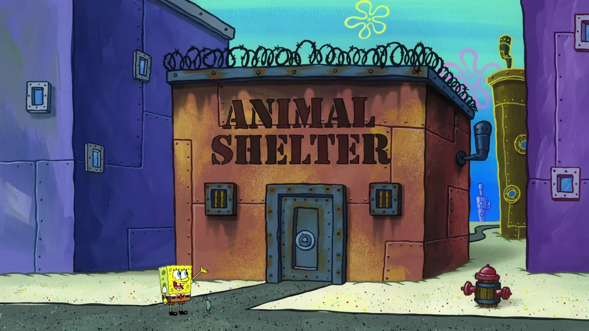 Animal shelter/gallery Encyclopedia SpongeBobia Fandom
