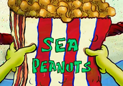 Sea Peanuts