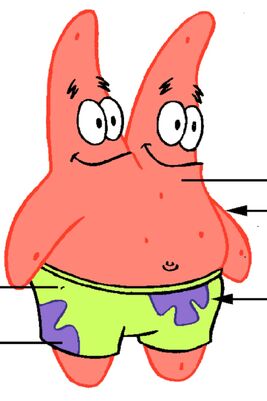 PatTron model pose