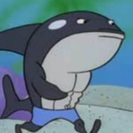 Дон (кит) ("Свет, камера, штаны!")