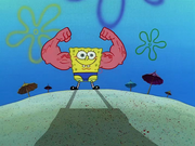 MuscleBob BuffPants 083