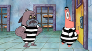 Patrick's Prison Pals 064