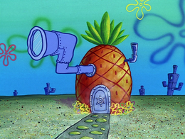 SpongeBob's house is missing one of the windows.