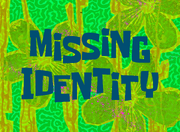 Missing Identity