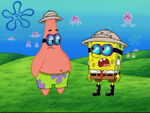Caza medusas 4