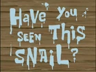 Have You Seen This Snail 
