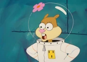 A4CB4C34-6D1D-4D90-8E53-6282876BD74C.jpeg (777 kB)