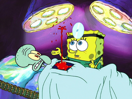 Squidward's eyelash sweater, Encyclopedia SpongeBobia