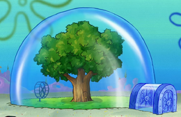 Sandy's treedome