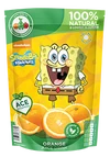 Sb orange pouch-998b8f48bc07dd6db18dd3dde46798bc8dd119e5c0f523b92b759d9f5166eb2d