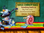 Audio Commentaries