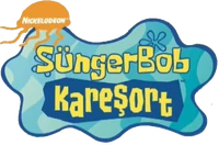 Old Turkish dub logo