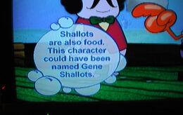 The Krusty Sponge Gene Shallots