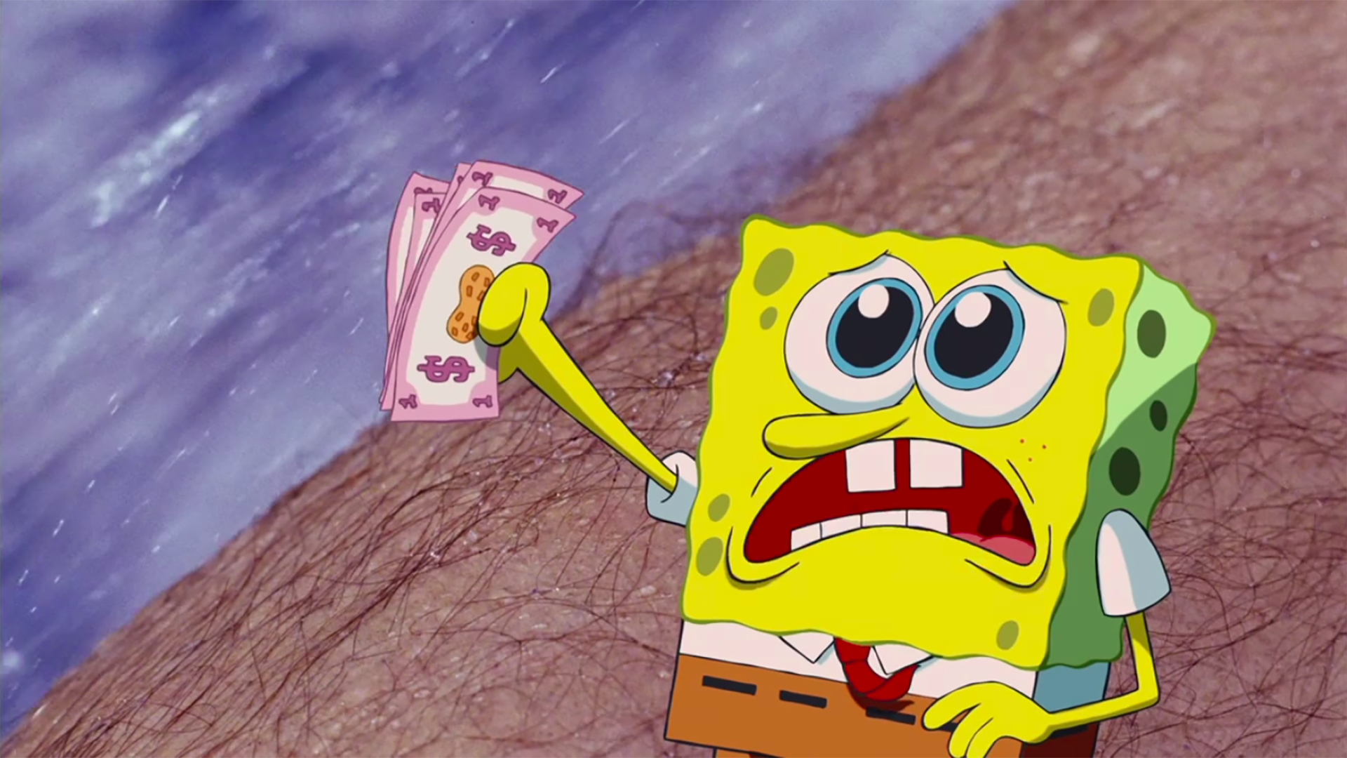Goober dollars | Encyclopedia SpongeBobia | Fandom