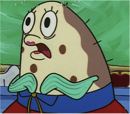 Mrs. Puff's true appearance without her wig.