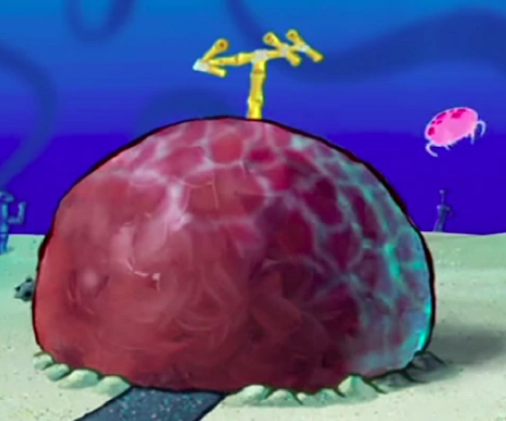 Patrick Star's house, Encyclopedia SpongeBobia