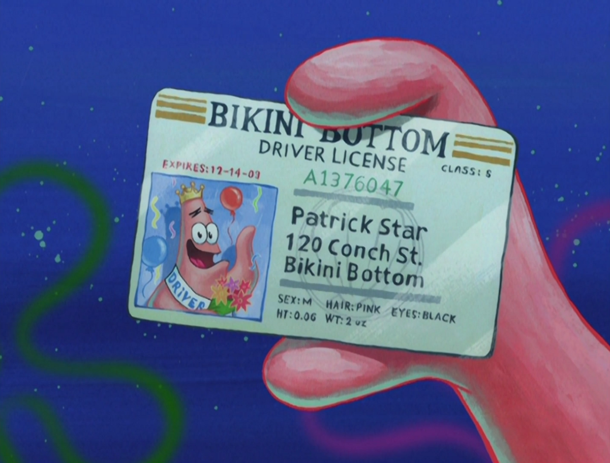 Patricks Drivers License Encyclopedia Spongebobia Fandom 5146