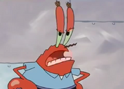 Krabs stares at ya