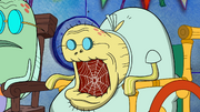 Too Many Patricks 111